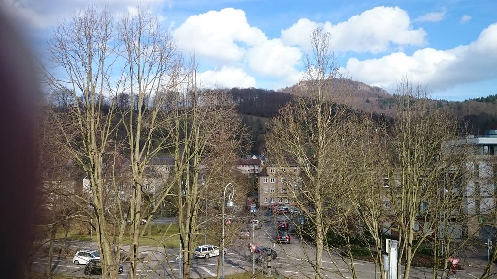 Mobliertes Apartment Am Festspielhaus Baden-Baden Phòng bức ảnh